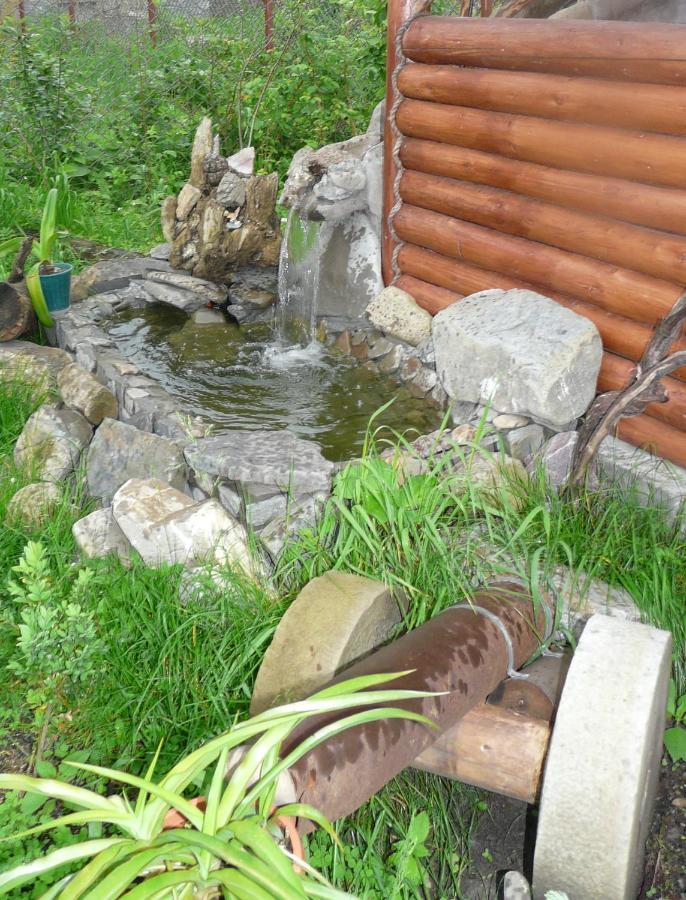 Затишок В Карпатах Apartment Skole Bagian luar foto